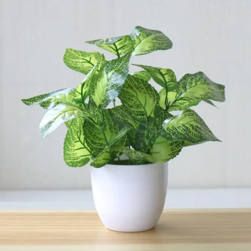 Piante artificiali, bonsai, pi - Home Office Layout recensione e prezzo